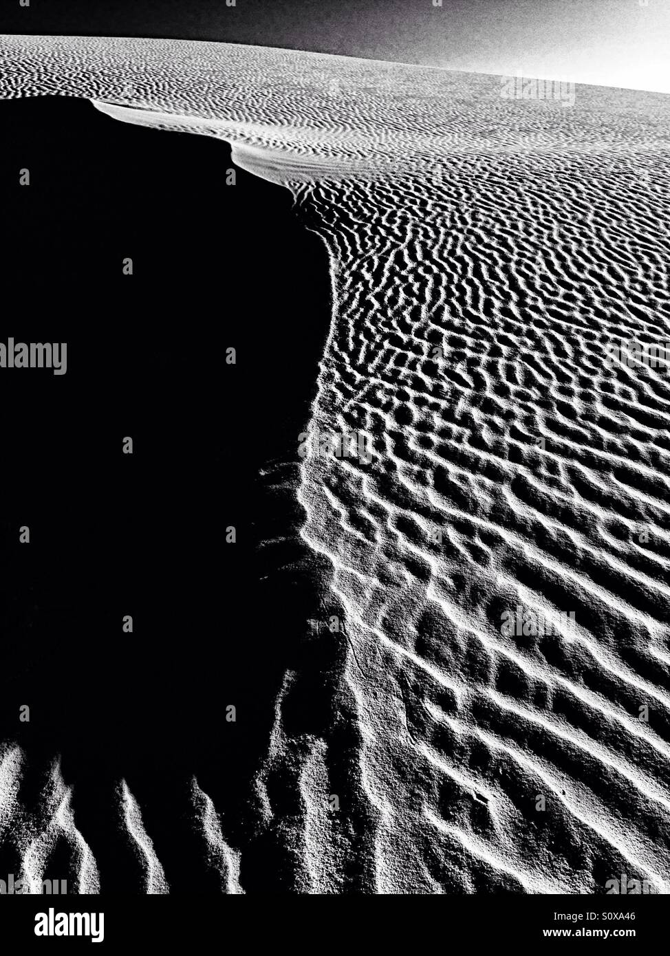 Dune at sunset, in black and white - Smartphone Captured Stock Image
