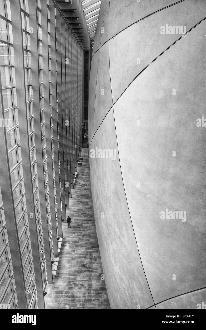 Inside The Natural History Museum. An image of the Cocoon building in black and white. One of London's landmarks. Stock Photo