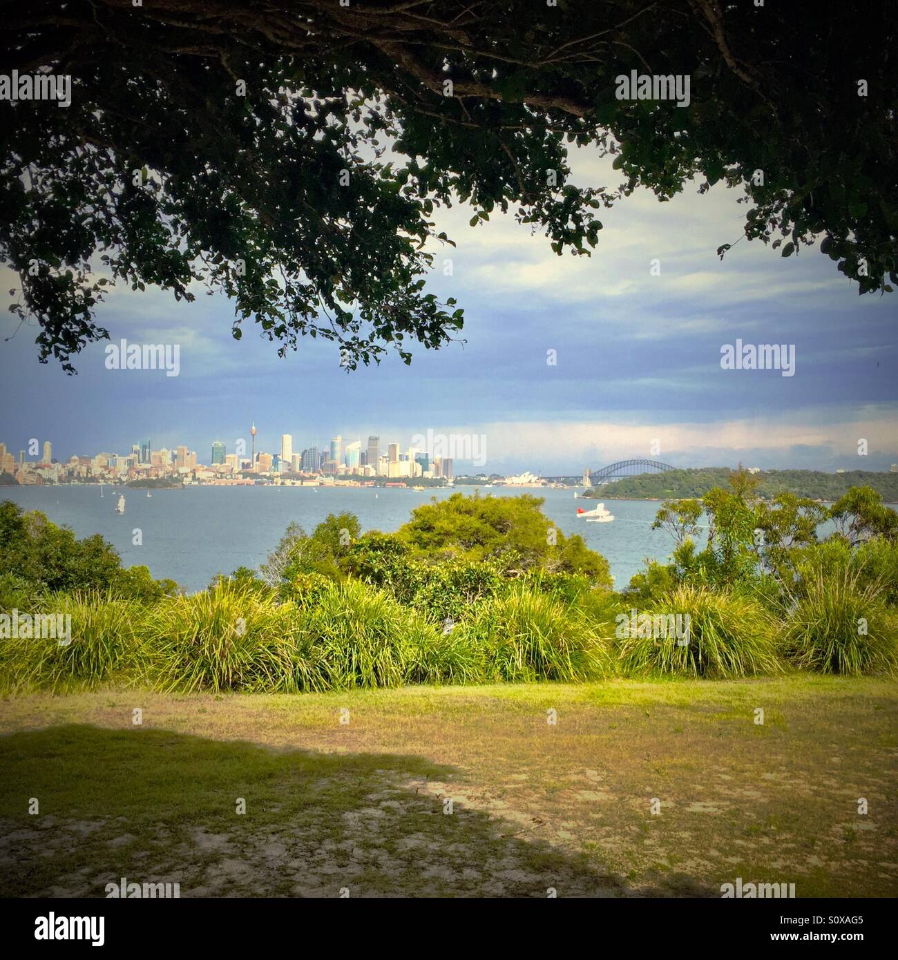 Sydney harbour looking towards Sydney Harbour Bridge and the Opera House with a Sea Plane taking off from Rose Bay. - Smartphone Captured Stock Image