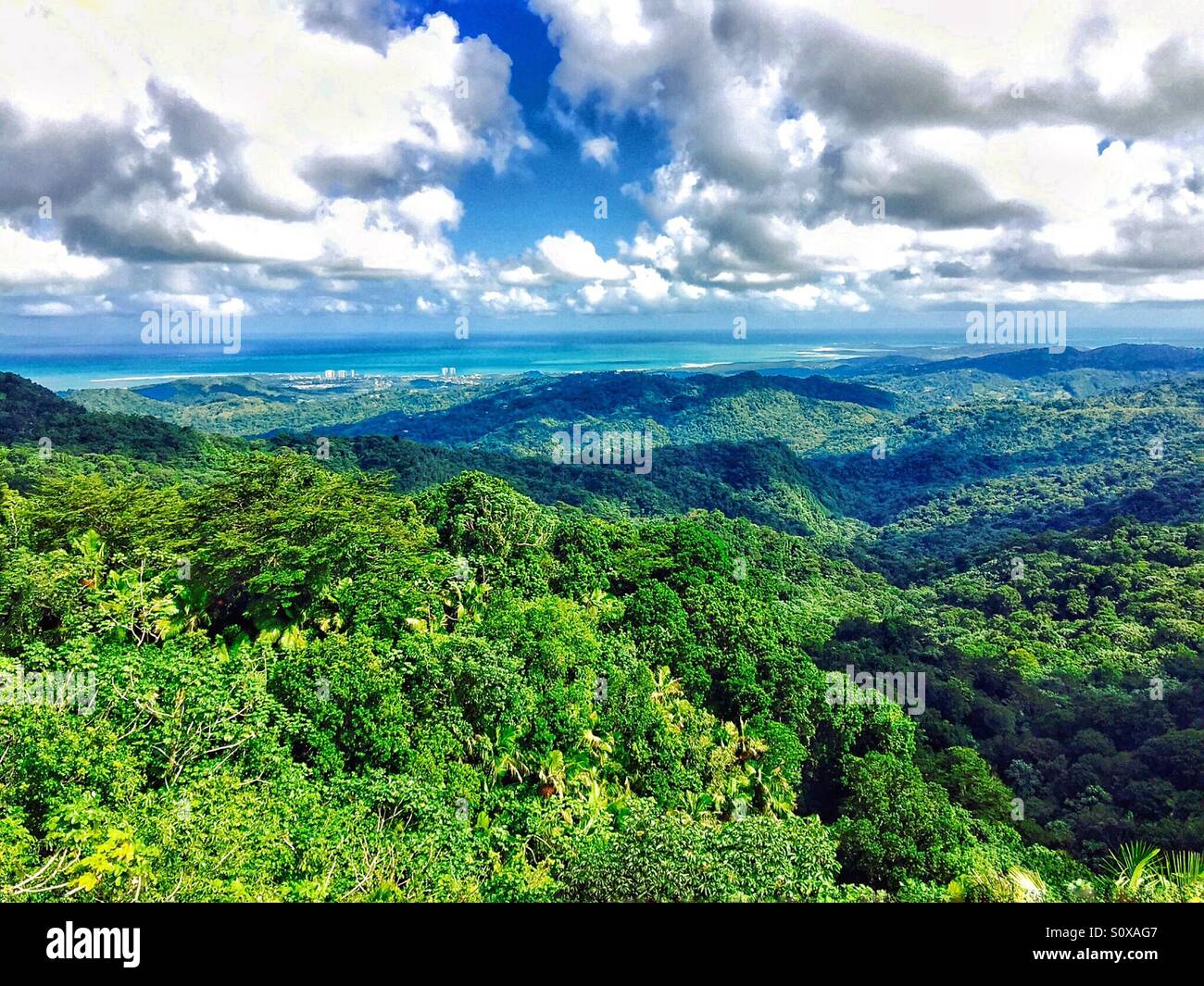 El Yunque Rainforest, Puerto Rico Stock Photo Alamy