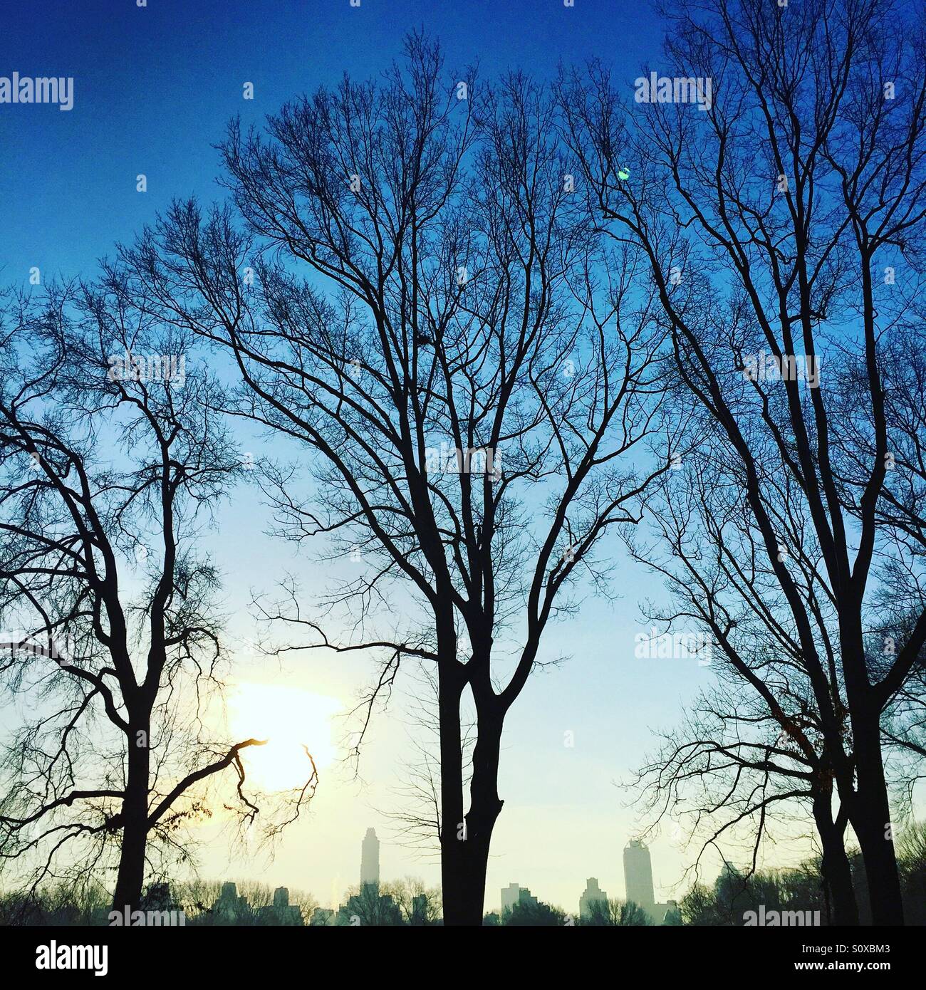 Nyc park sunrise hi-res stock photography and images - Alamy