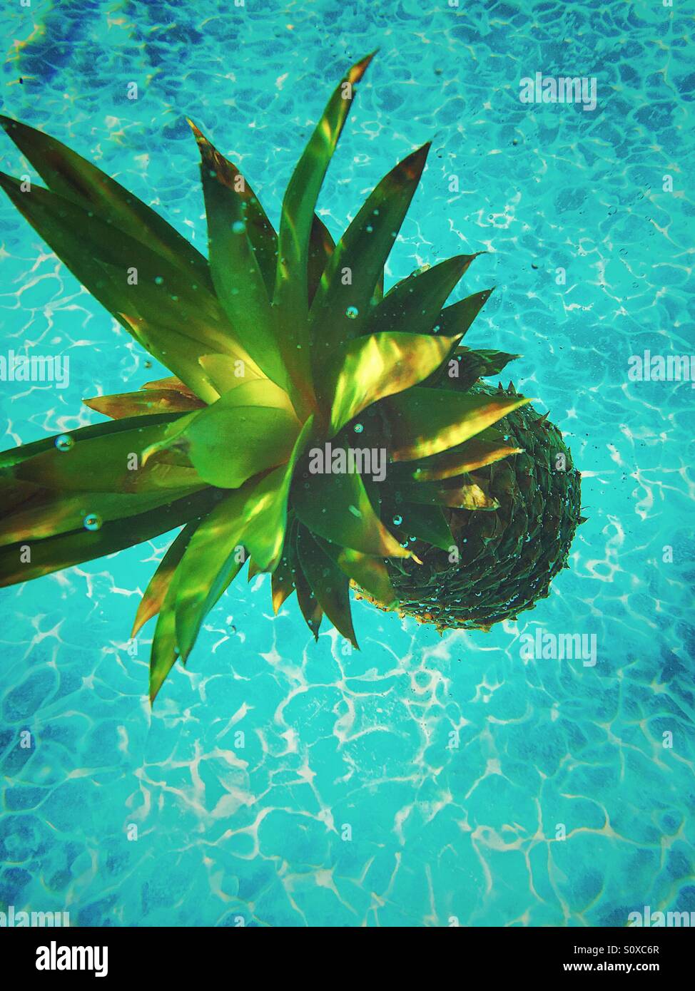 Pineapple sinking underwater. - Smartphone Captured Stock Image