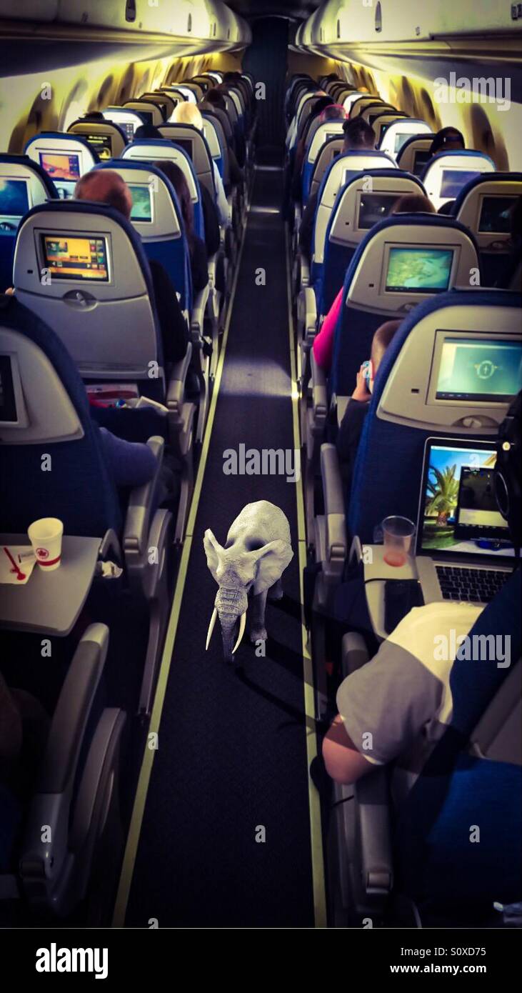 Elephant in the room - Smartphone Captured Stock Image