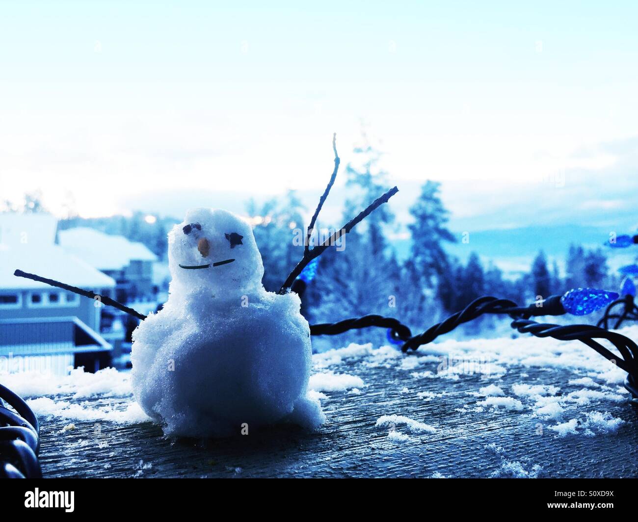 Tiny snow man. - Smartphone Captured Stock Image