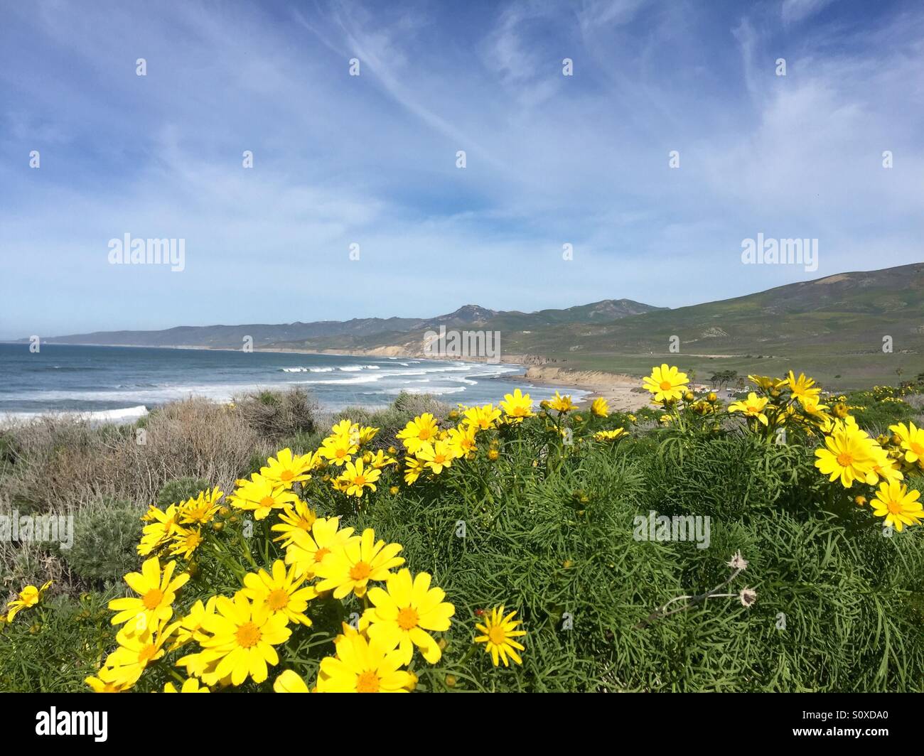 Jalama beach, city of Lompoc, California. Nice cAmping site open for public, entrance fee is 5 bucks. 1 hour drive from Lompoc Stock Photo