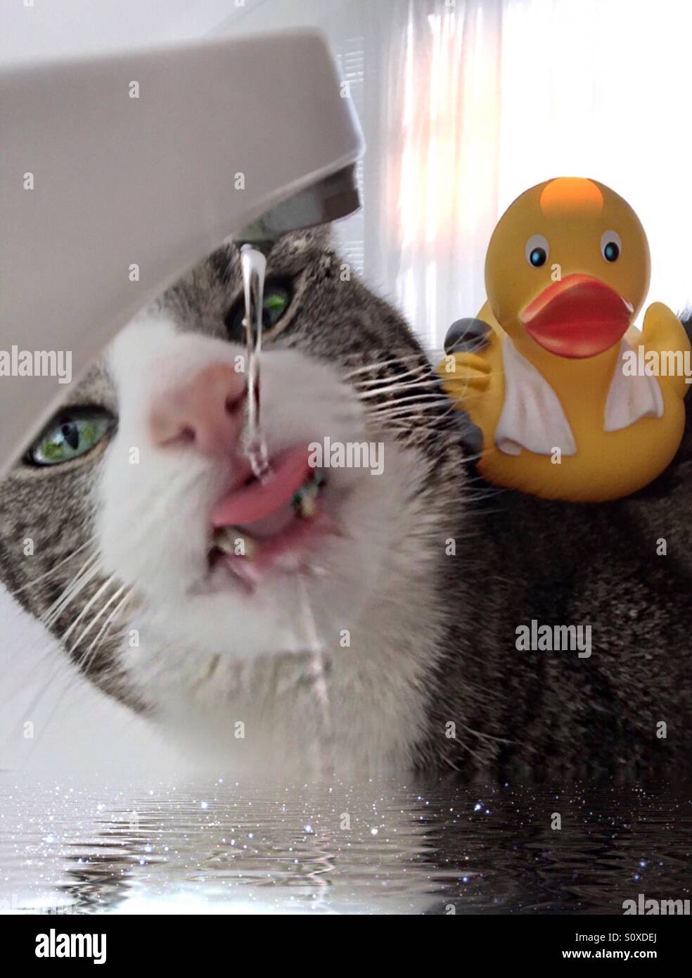 ..drink, drink, thirsty Stock Photo Alamy