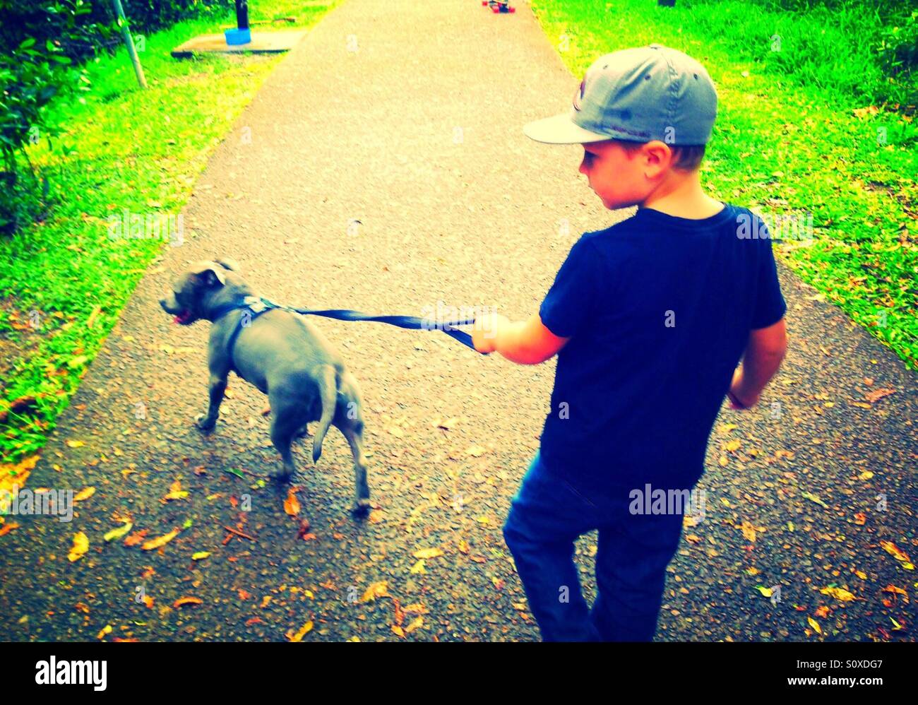 Boy walking his dog in nature Stock Photo