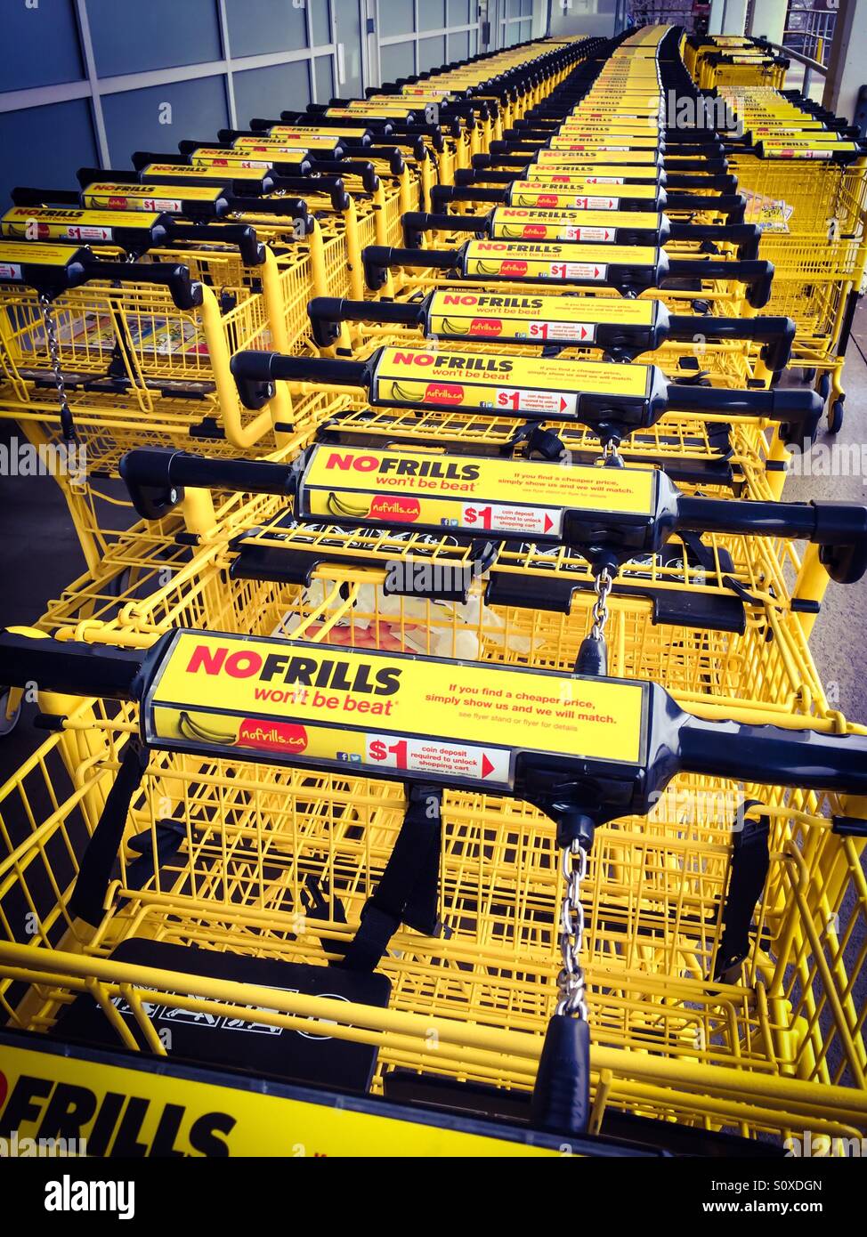 Carts - Smartphone Captured Stock Image