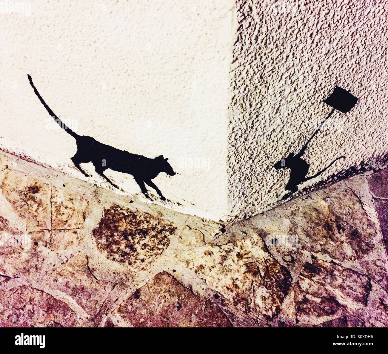 Cat And Mouse Drawing High Resolution Stock Photography And Images Alamy Cat And Mouse Drawing High Resolution Stock Photography And Images Alamy