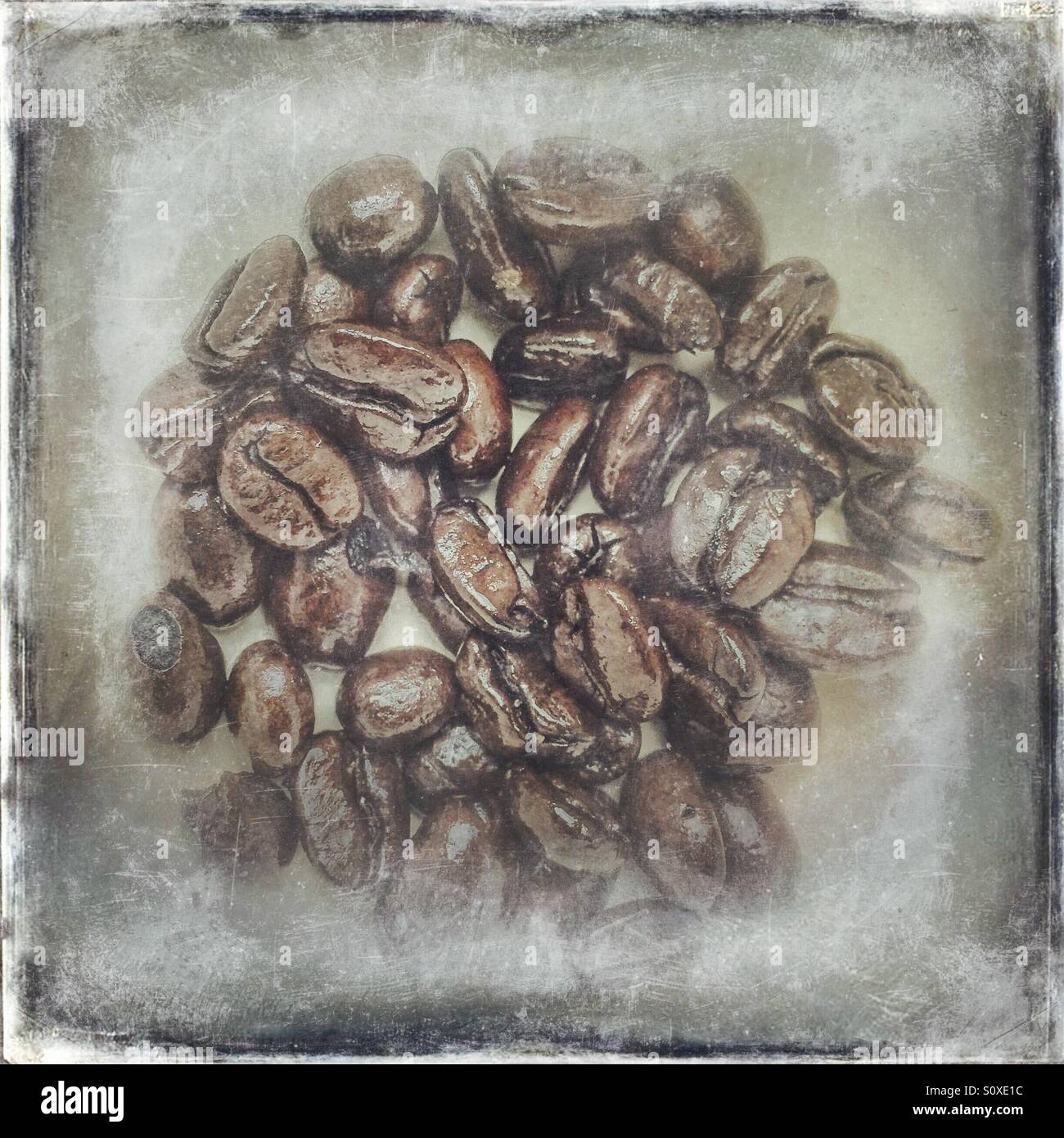 Roasted coffee beans - Smartphone Captured Stock Image