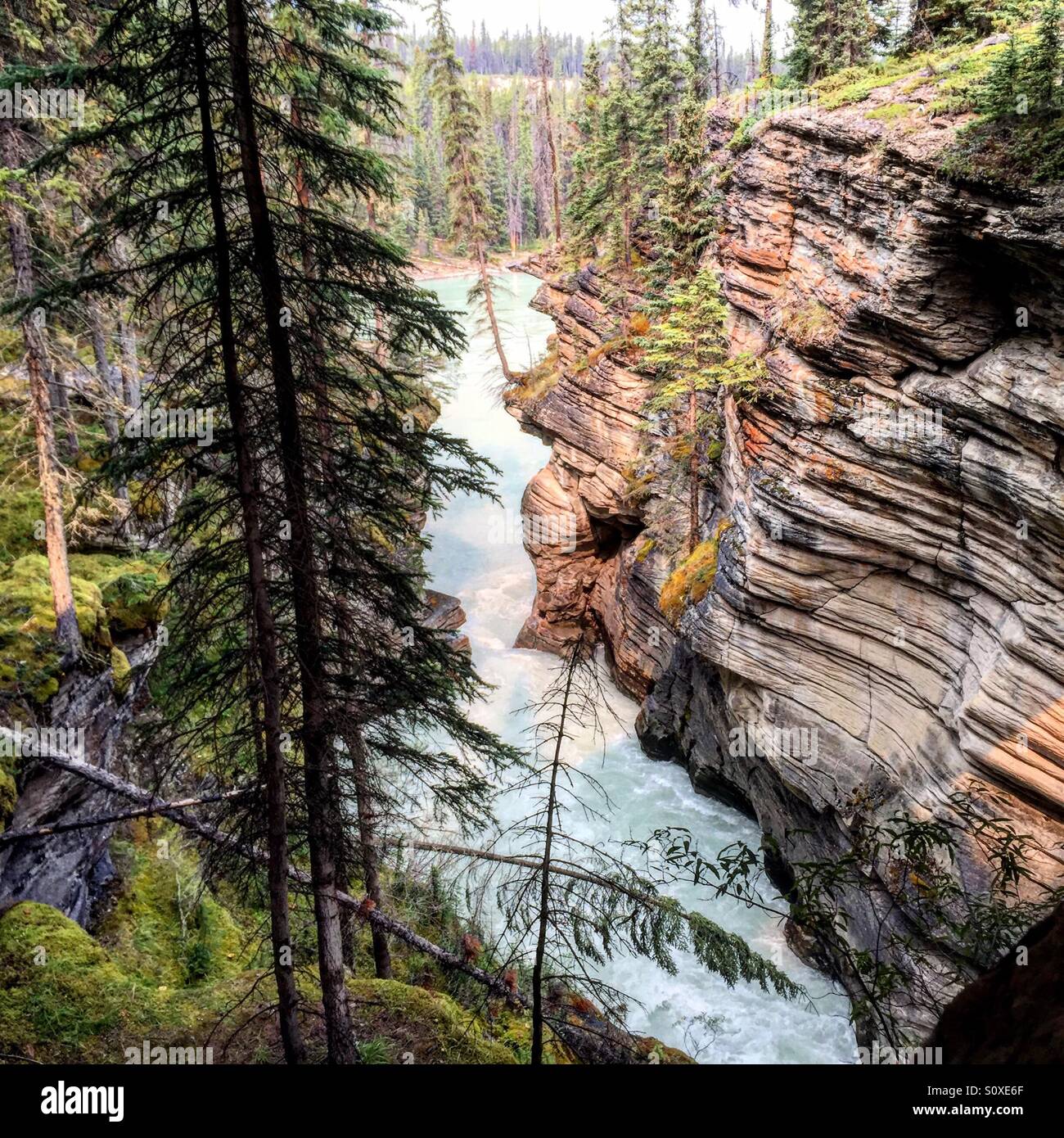 Stream flowing into rocks hi-res stock photography and images - Alamy