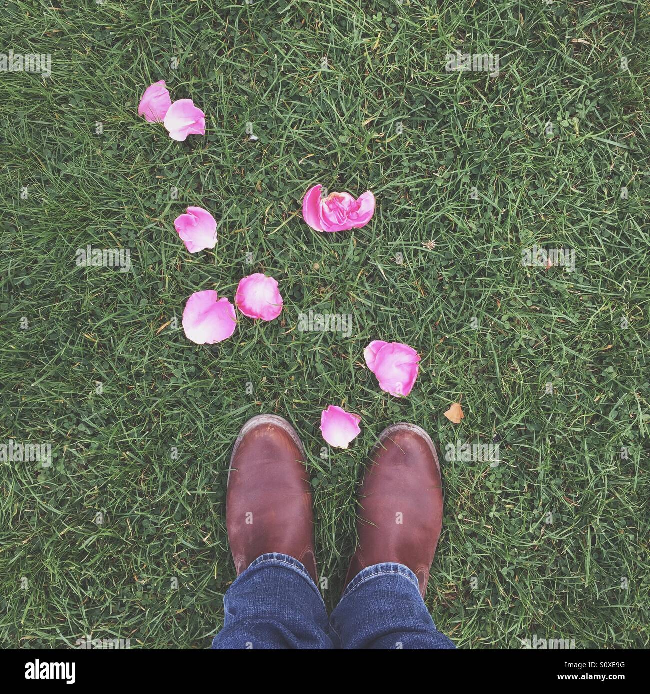 Lady with rose petals Stock Photo