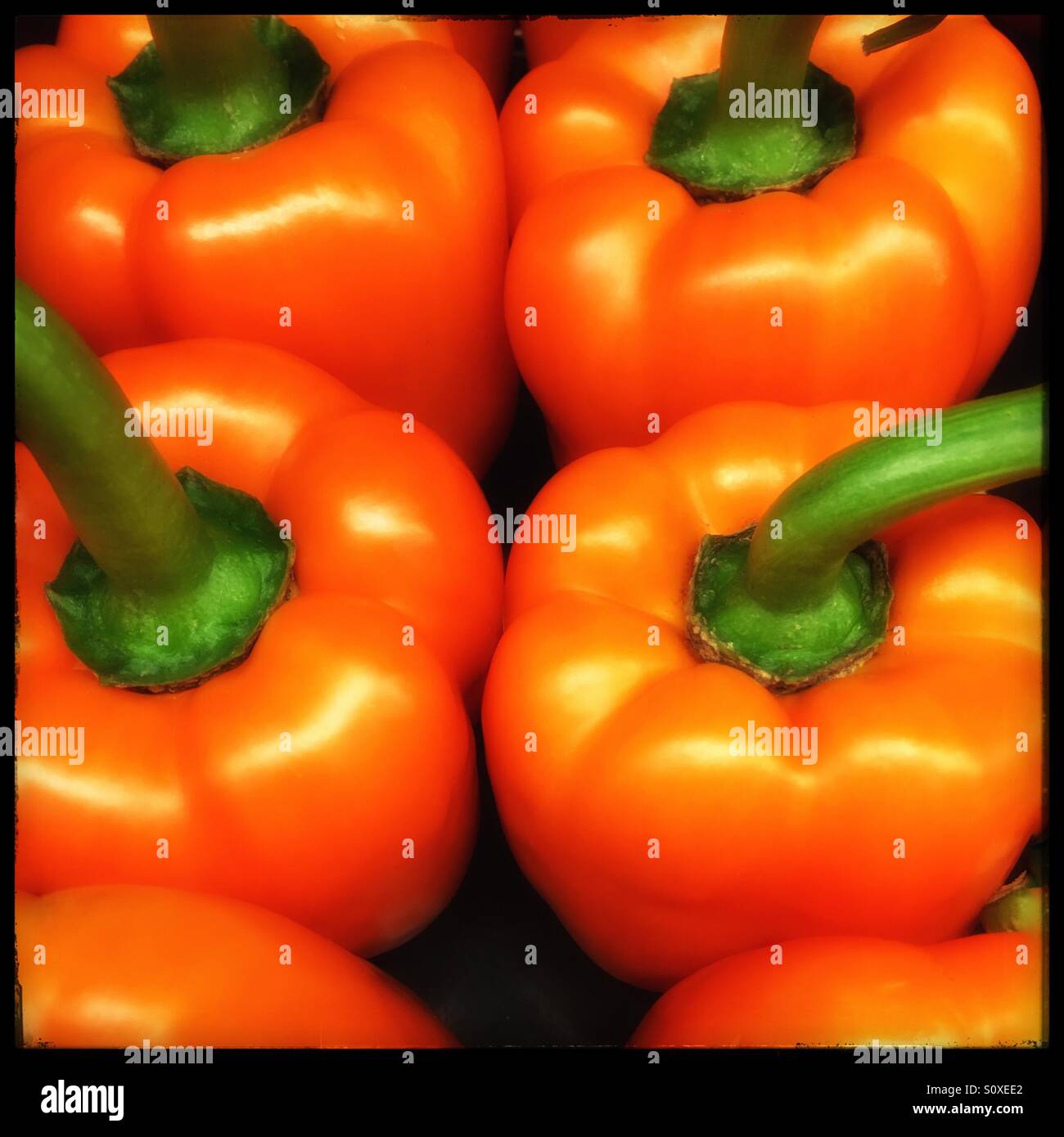 Orange bell peppers Stock Photo Alamy