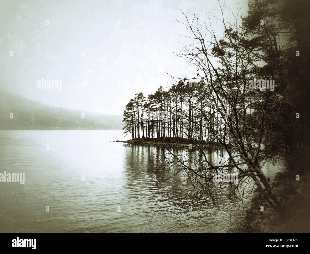 Pine trees on Loch Ossian, a drizzly day on the Corrour Estate, Inverness-shire, Scotland - Smartphone Captured Stock Image