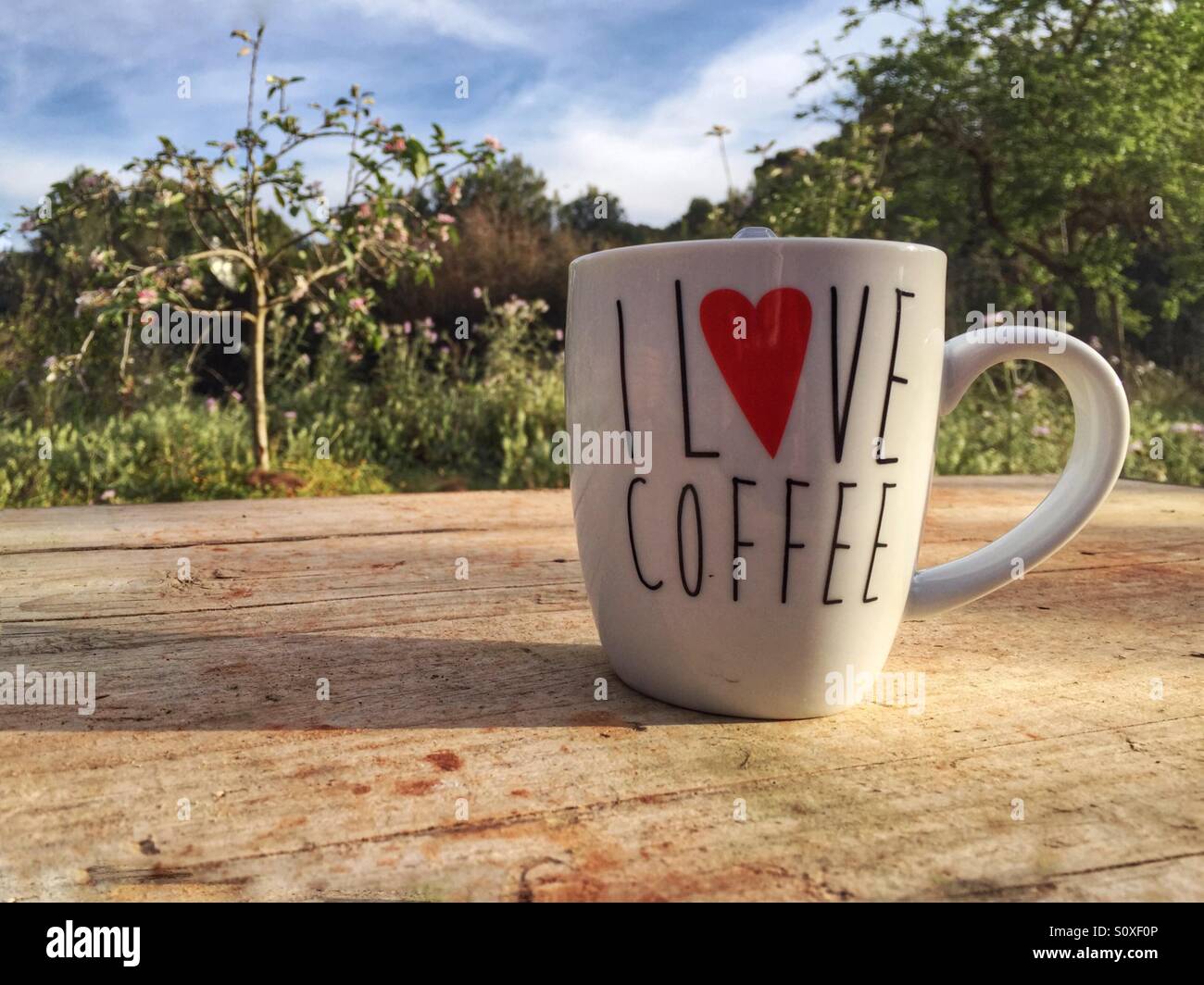 I love coffee cup Stock Photo