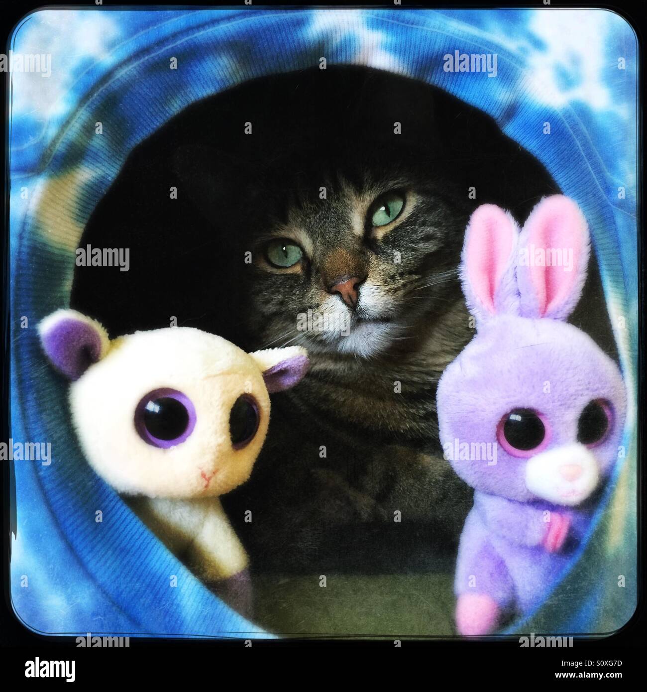 Happy Easter - Smartphone Captured Stock Image