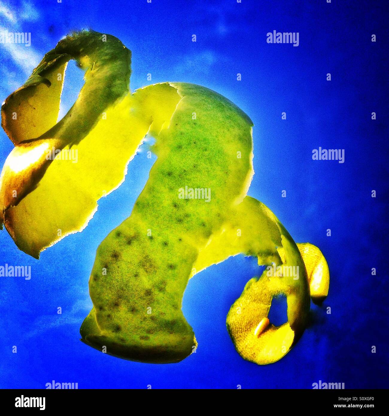 Apple peel and sky. - Smartphone Captured Stock Image