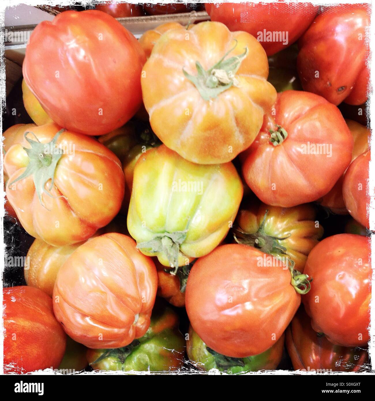 Box of tomatoes Stock Photo