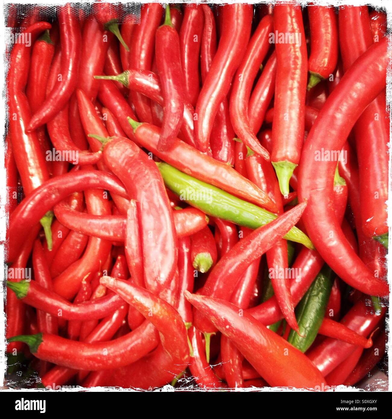 Hot chilli peppers Stock Photo Alamy