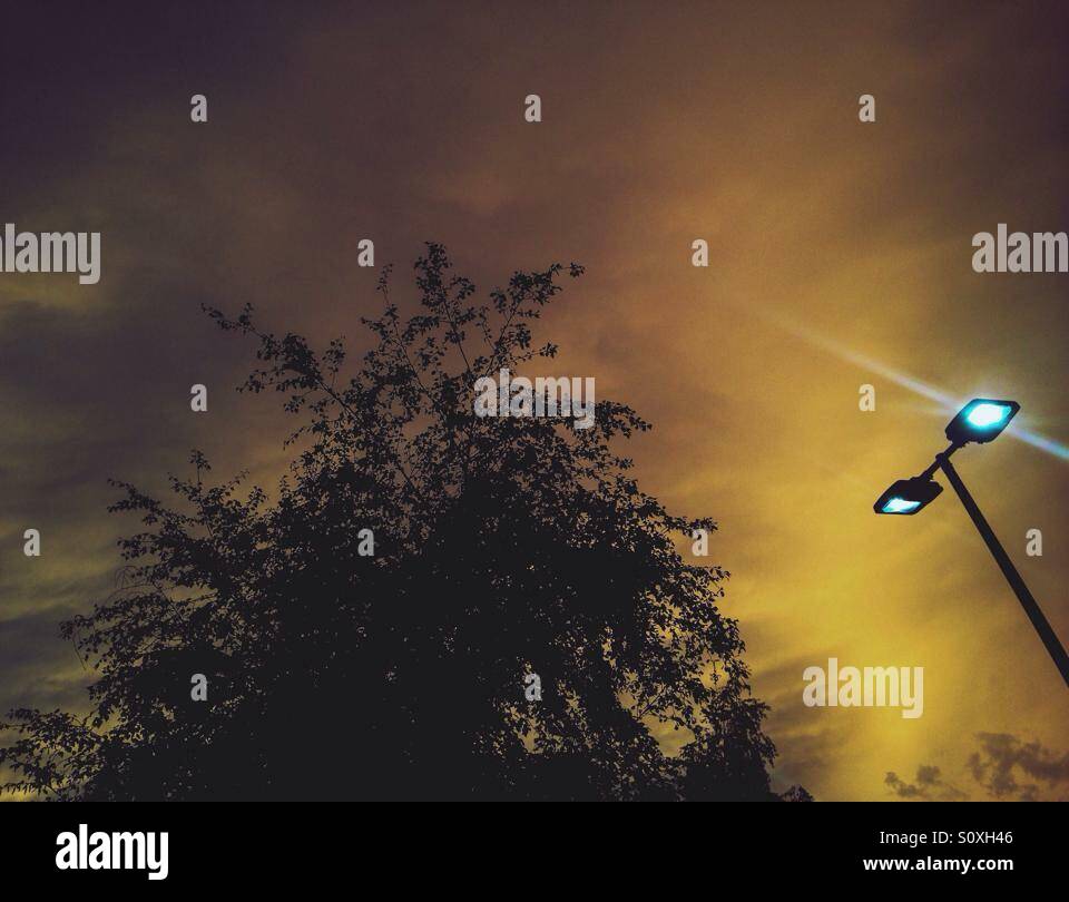Silhouette of tree and street light against eerie Sky at dusk - Smartphone Captured Stock Image