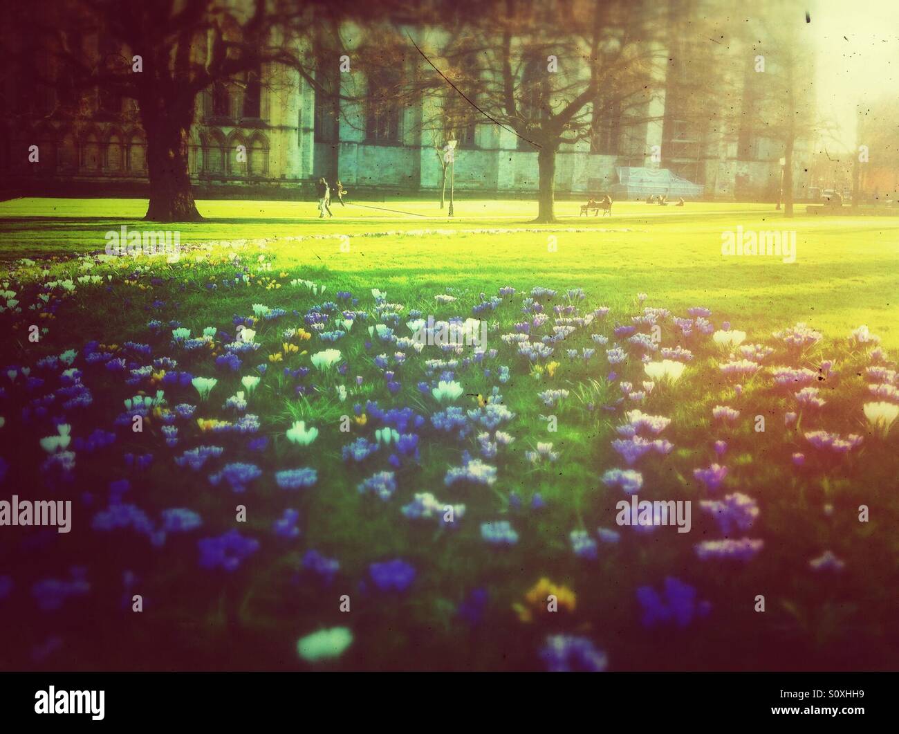 Springtime in the park York North Yorkshire England UK United Kingdom GB Great Britain - Smartphone Captured Stock Image