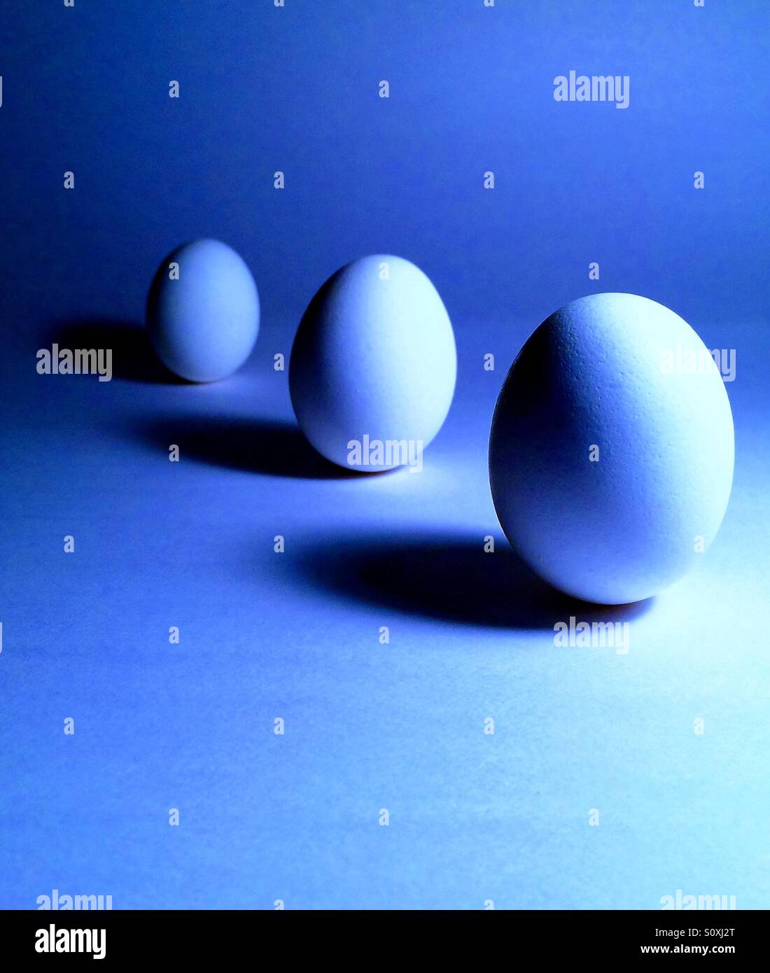 White eggs with dramatic shadows and blue tint hires stock photography