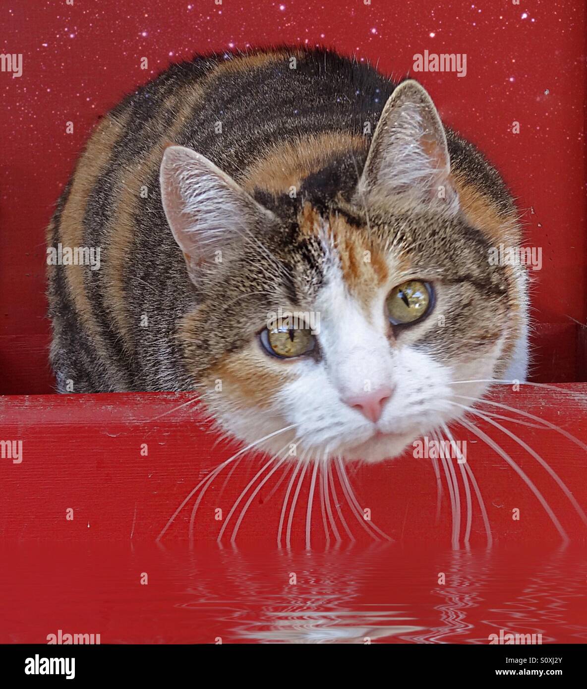 ...kiddy, don't squint the eyes..! - Smartphone Captured Stock Image