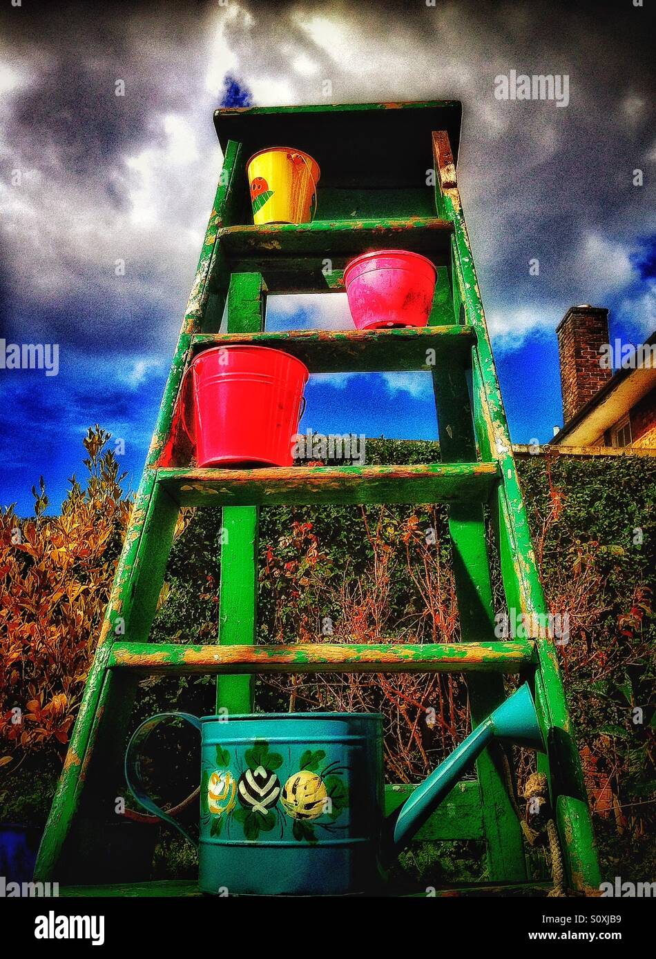 Garden colour - Smartphone Captured Stock Image