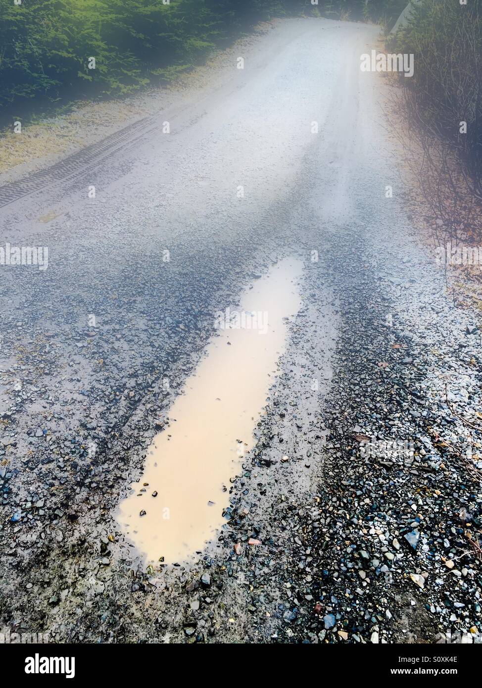 Puddle foggy road - Smartphone Captured Stock Image