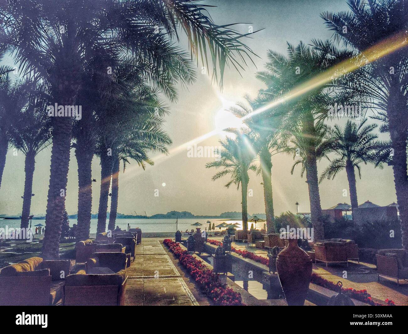 Palm trees at Dubai beach Stock Photo