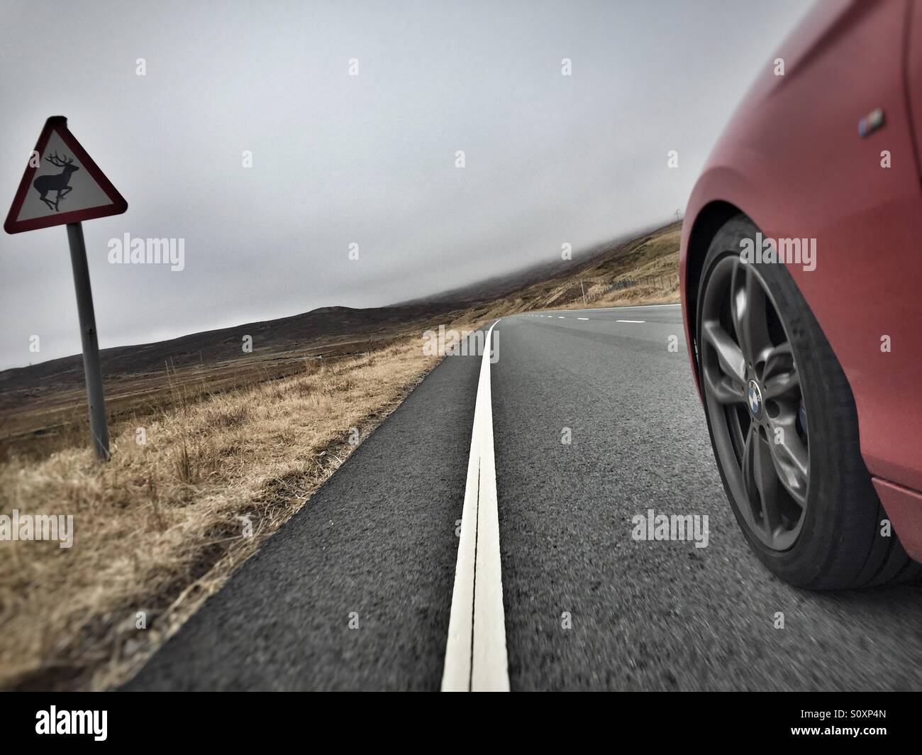 Sports car driving a fast remote Scottish country road, beware of deer sign. Onboard action shot - Smartphone Captured Stock Image