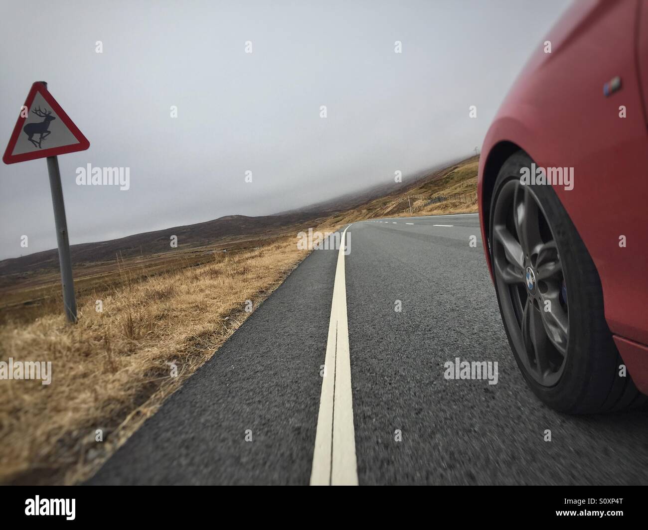 Sports car driving a fast remote Scottish country road, beware of deer sign. Onboard action shot - Smartphone Captured Stock Image