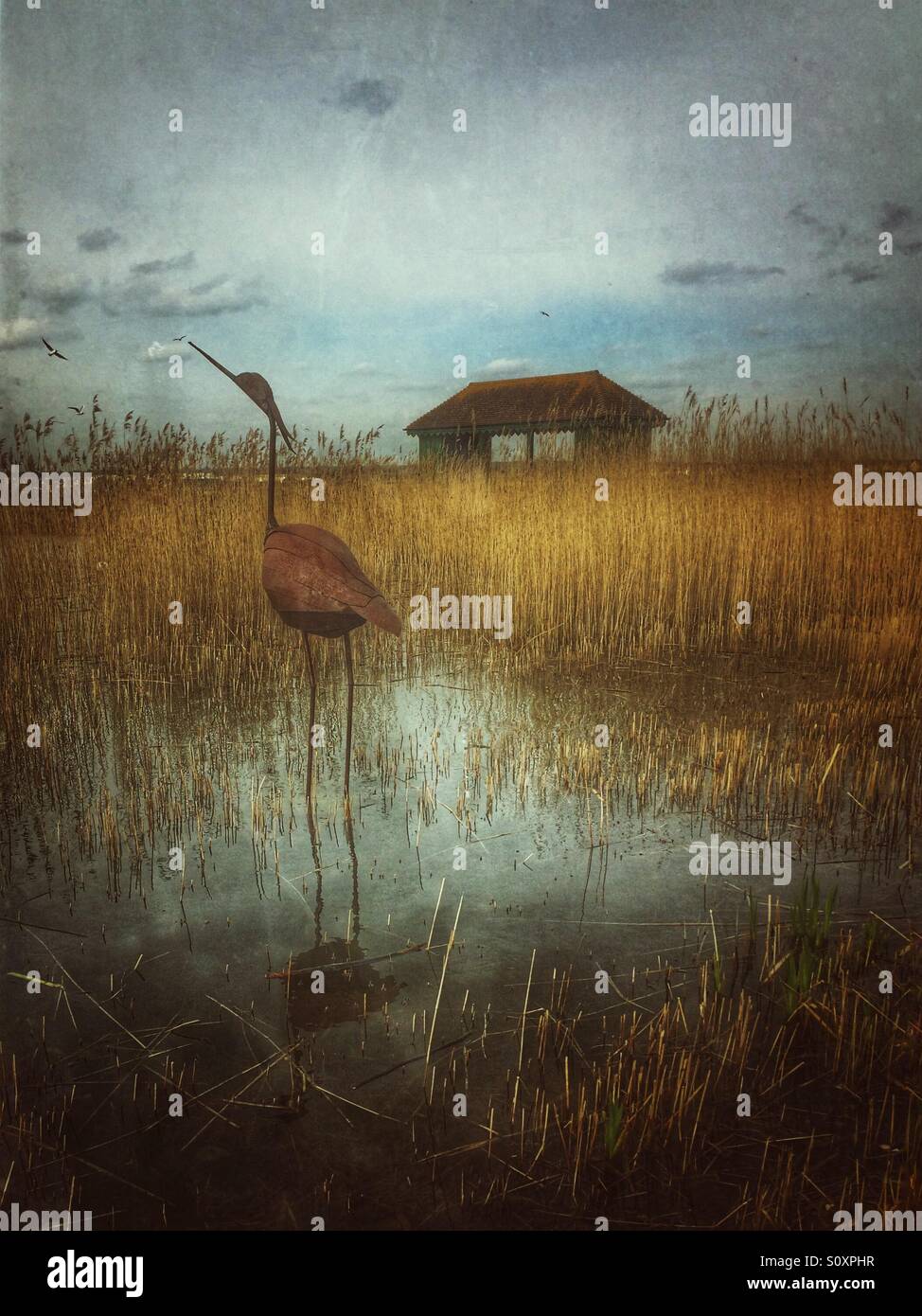 Heron statue in wetlands in front of an open shelter. - Smartphone Captured Stock Image