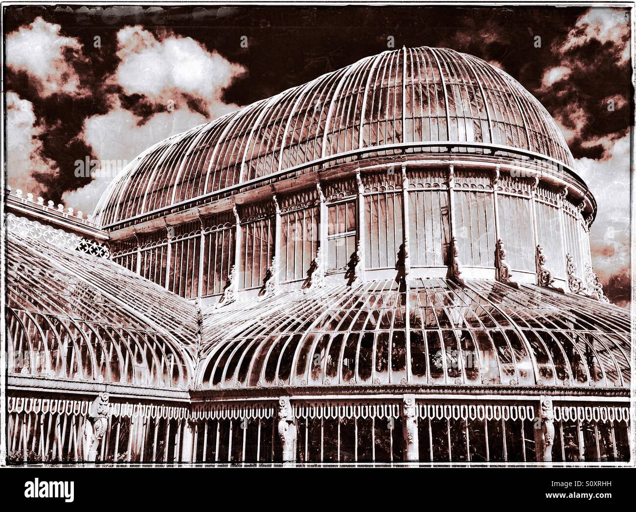 An Aged Exterior View of The Palm House at Belfast Botanic Gardens in Northern Ireland. This Large Conservatory Structure is a Brilliant Example of a Curvilinear Cast Iron Glasshouse. © COLIN HOSKINS. - Smartphone Captured Stock Image
