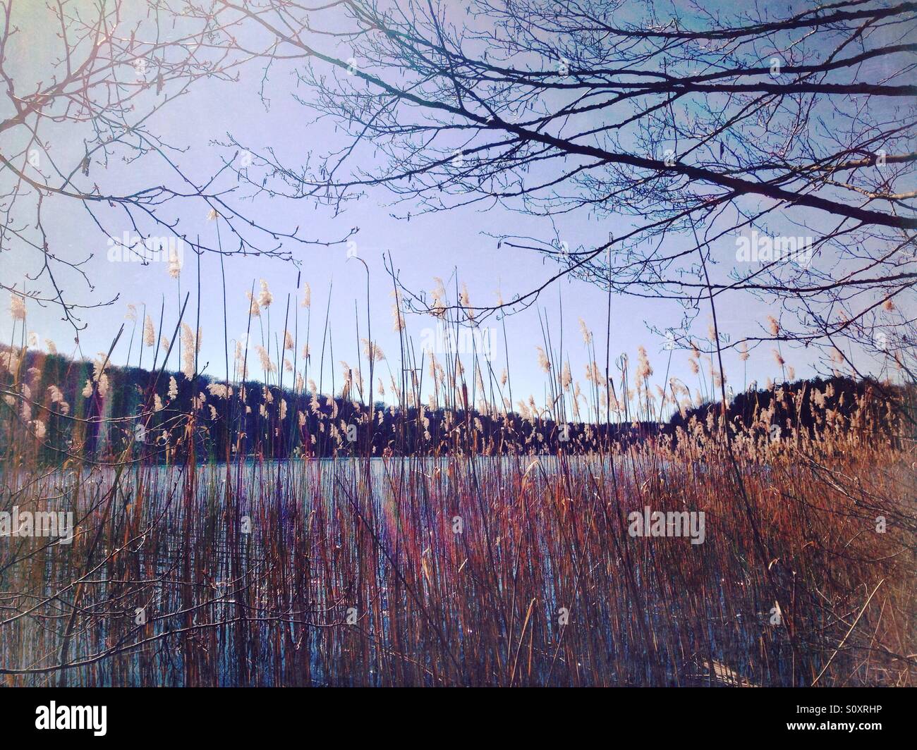 The Liepnitzsee in the North of Berlin in early spring, Brandenburg, Germany - Smartphone Captured Stock Image