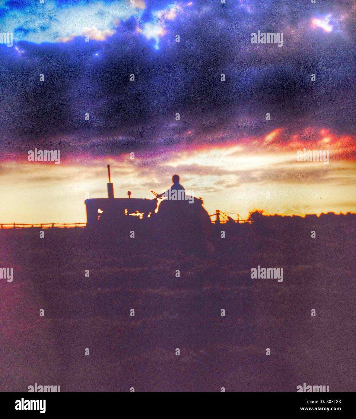 Harvesting - Smartphone Captured Stock Image