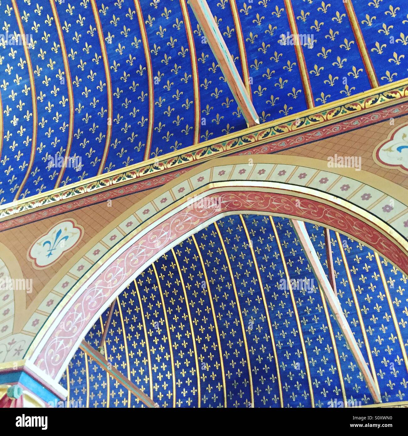 Ceiling of Royal de Blois castle - Smartphone Captured Stock Image