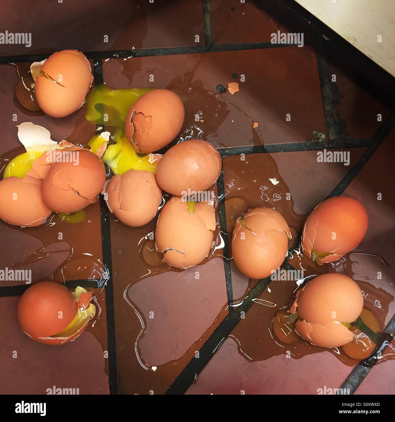 Broken eggs - Smartphone Captured Stock Image
