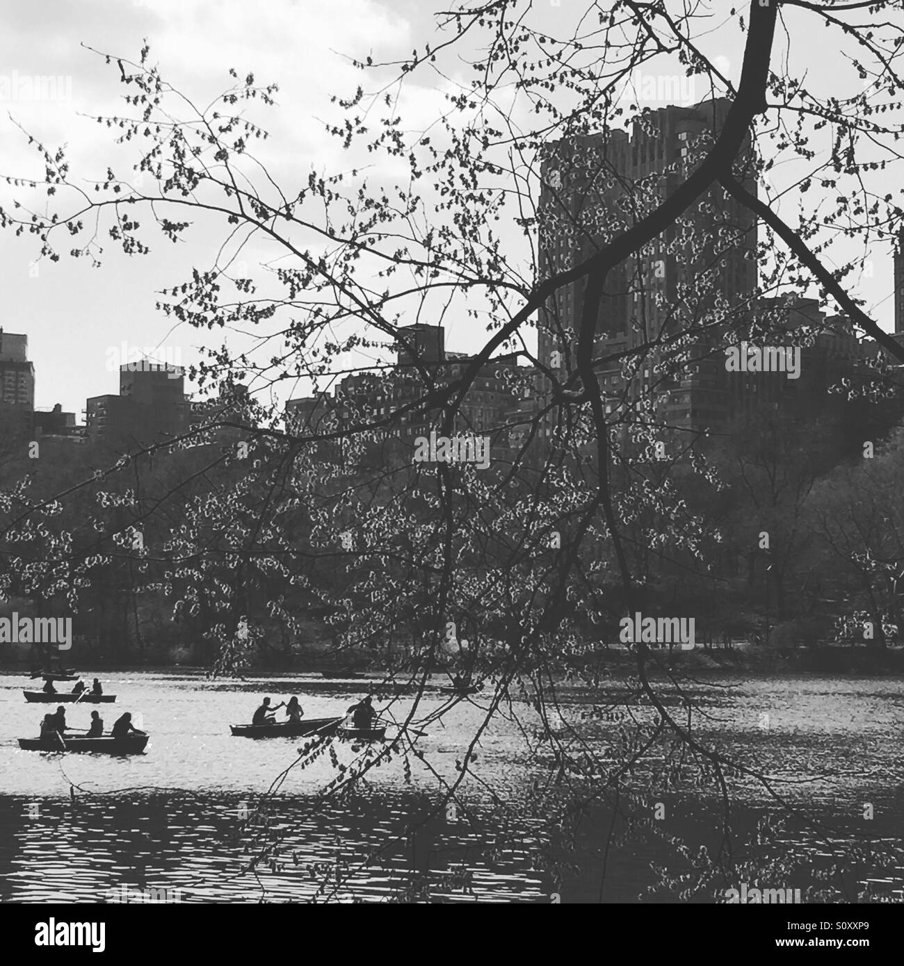 Boating lake, Central Park, NYC Stock Photo Alamy