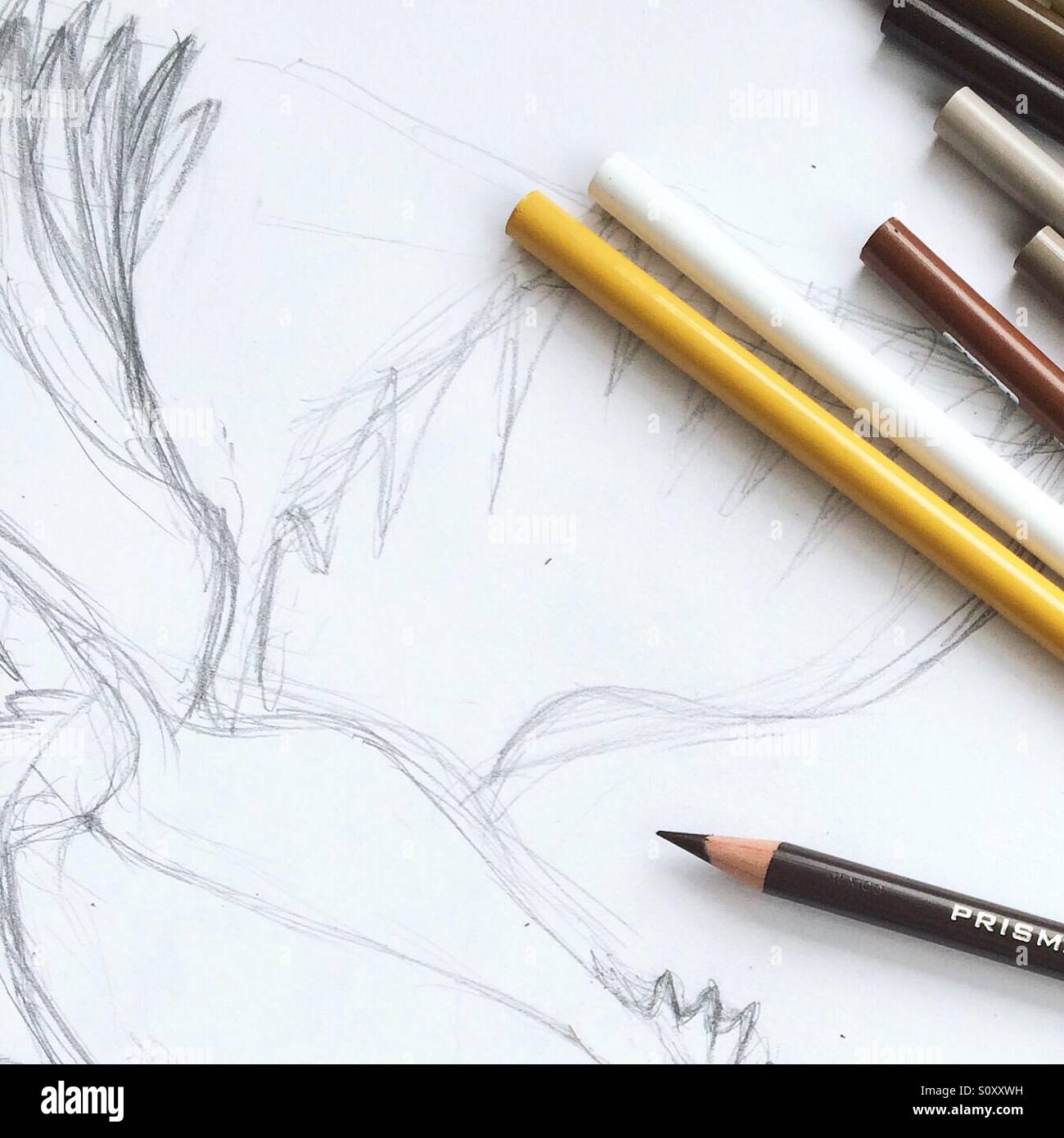 XユーザーのPaintilleryさん: 「The normal pencil drawing and a pink one aaand a  close up! :D #art #cuteart #anime #manga #drawing #ocs #kawaii #oc #draw  #kunst #zeichnung #artist #drawingart #ArtistOnTwitter #mangastyle  https://t.co/quK3yUTkbV」 / X