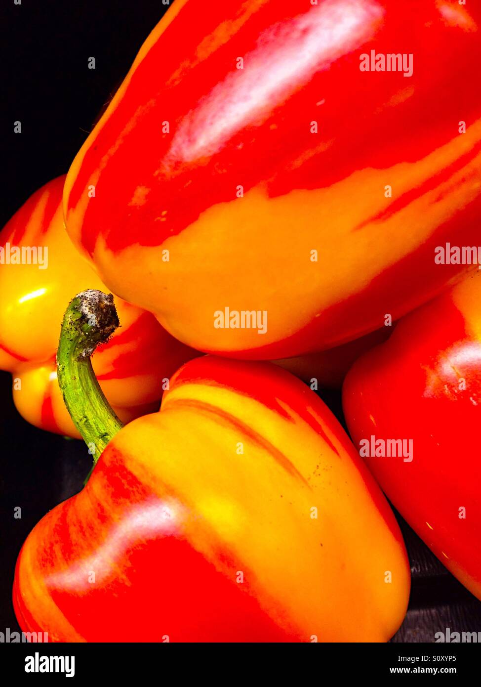 Red and yellow sweet peppers Stock Photo - Alamy