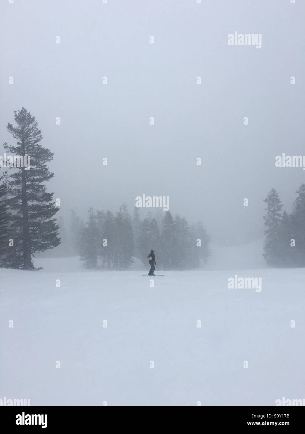 Skiing alone on Mammoth mountain Stock Photo