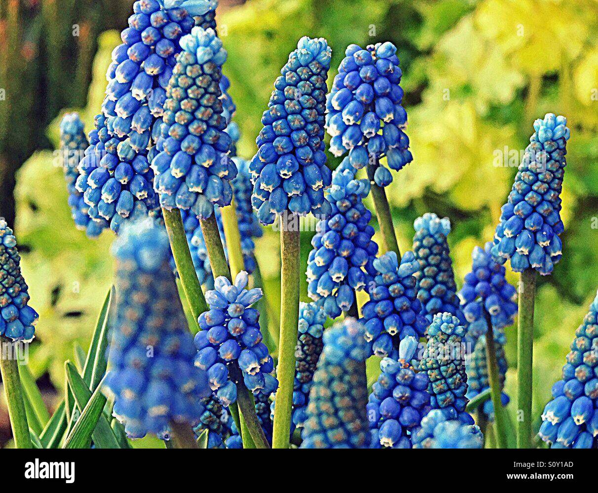 Beautiful colours in nature hi-res stock photography and images - Alamy