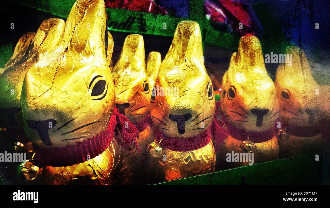 Chocolate Easter bunnies lined up neatly at a store. - Smartphone Captured Stock Image
