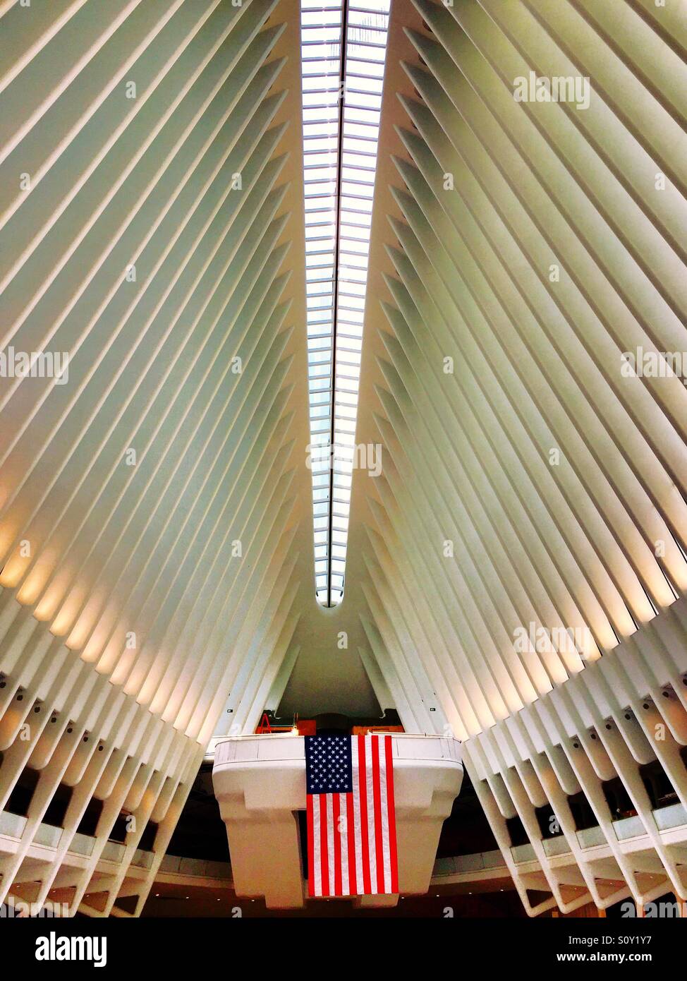 The oculus at the world trade center transportation hub is comprised of white steel ribs, New York City, USA - Smartphone Captured Stock Image