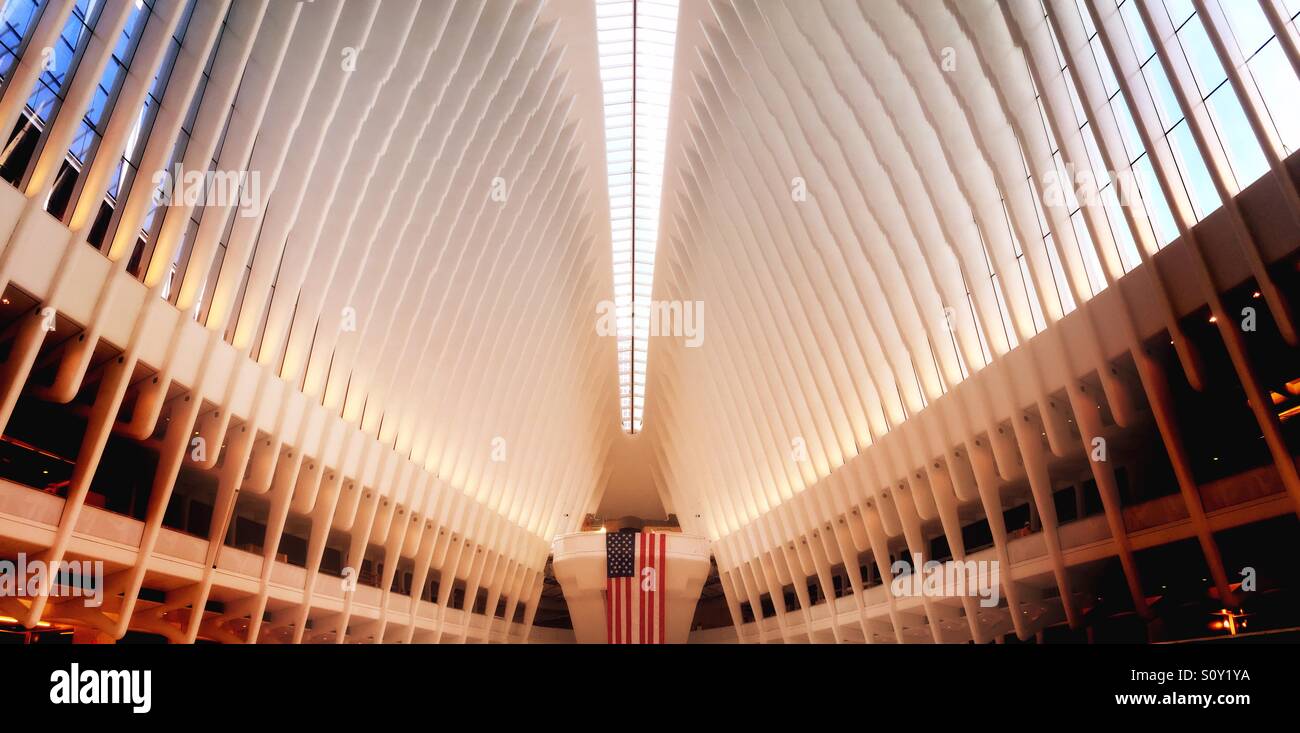 Oculus at the World Trade Center transportation hub is comprised of white steel ribs, New York City, USA - Smartphone Captured Stock Image