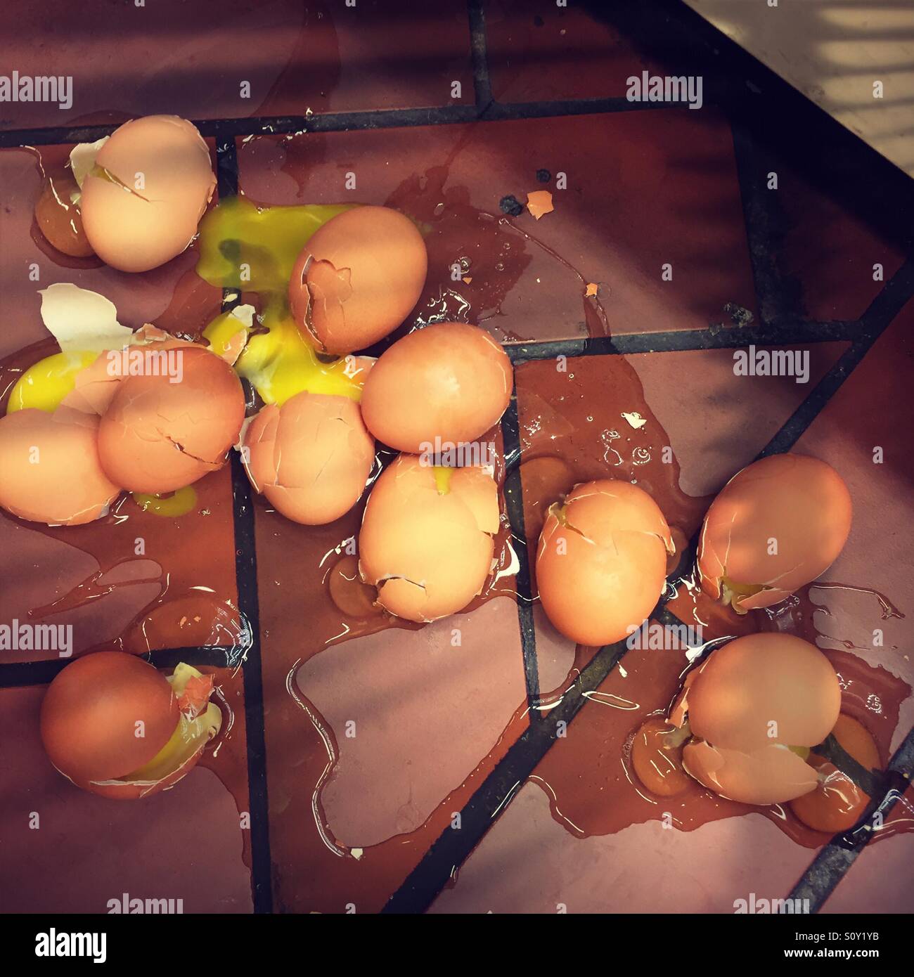 Broken eggs - Smartphone Captured Stock Image