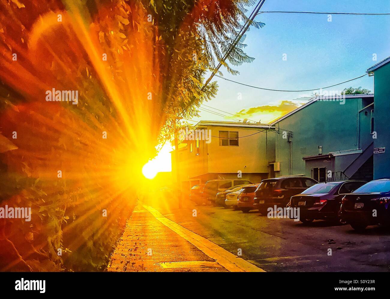 The flare of late afternoon sun along a back alley in West Los Angeles