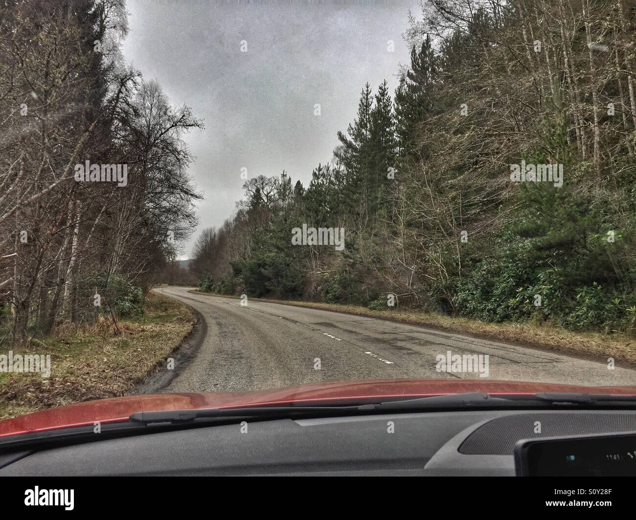 Driving down a twisty country road in a forest - Smartphone Captured Stock Image
