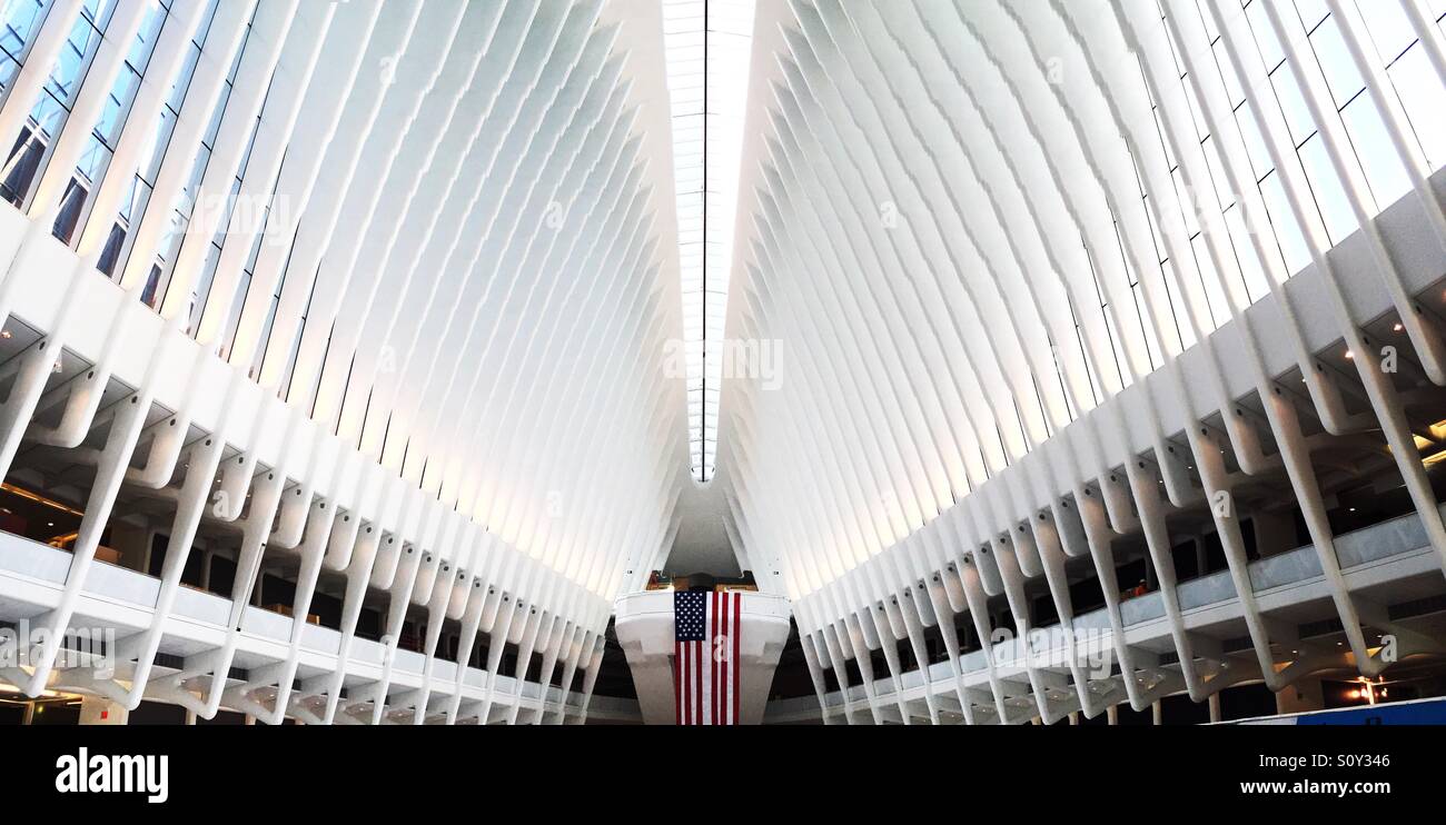 The oculus at the World Trade Center transportation hub is comprised of white steel ribs, New York City, USA - Smartphone Captured Stock Image